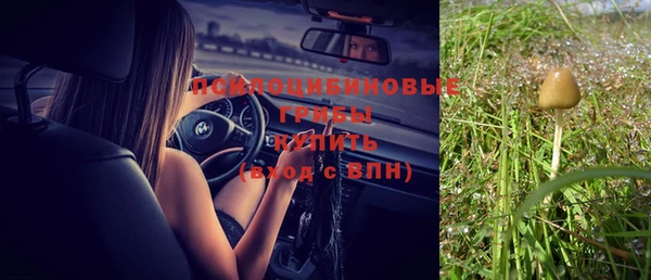 таблы Алексеевка