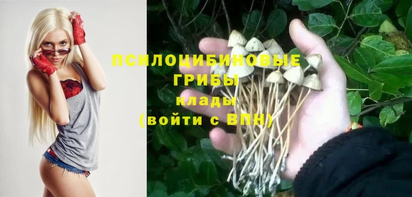 гидра Алексин